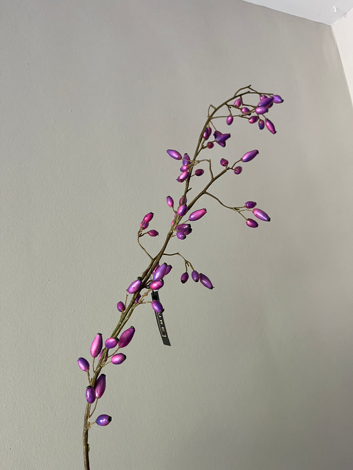 Rosehip purple