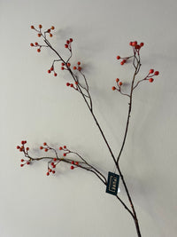 Zijdentak rozenbottel bes