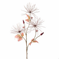 WILD CLEMATIS BURGUNDY