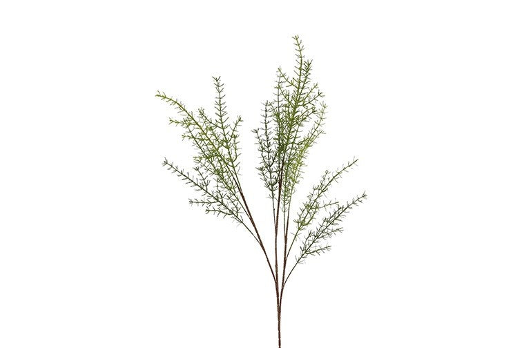 Kunstblad Asparagus Moogri L groen-