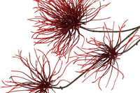 Kunstbloem Grevillea S lila