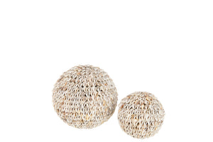 Ball Shells Natural Large Natural
