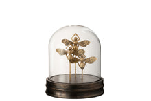 Afbeelding in Gallery-weergave laden, Bell Jar Butterfly Poly/Glass Gold
