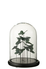 Afbeelding in Gallery-weergave laden, Bell Jar Butterflies Glass Dark Green Large
