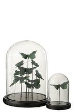 Afbeelding in Gallery-weergave laden, Bell Jar Butterflies Glass Dark Green Large

