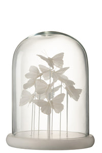 Bell Jar Butterfly Glass White Large