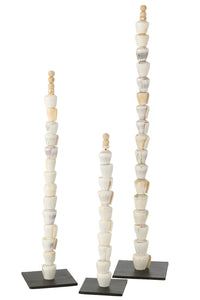 Set Of 3 Shells On Stand Shell Natural