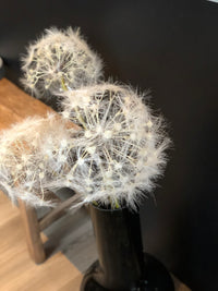 Dandelion XXL- paardebloem zijden