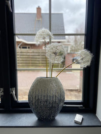Dandelion XXL- paardebloem zijden