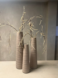 Tak treur/hang Corylus XL crèm-6x18x132CM
824753