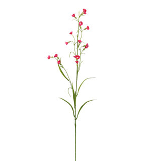MINI NICOTIANA 75CM BEAUTY