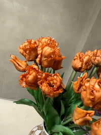 Parkiet tulpen oranje/bruin