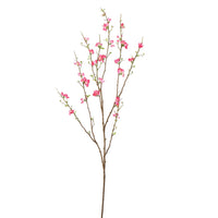 X LARGE BLOSSOM 130CM BEAUTY