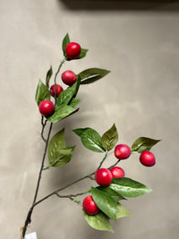 Plum Claude red