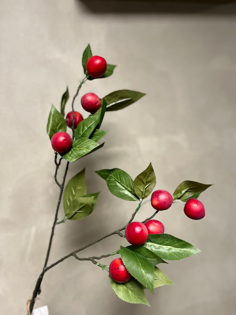 Plum Claude red