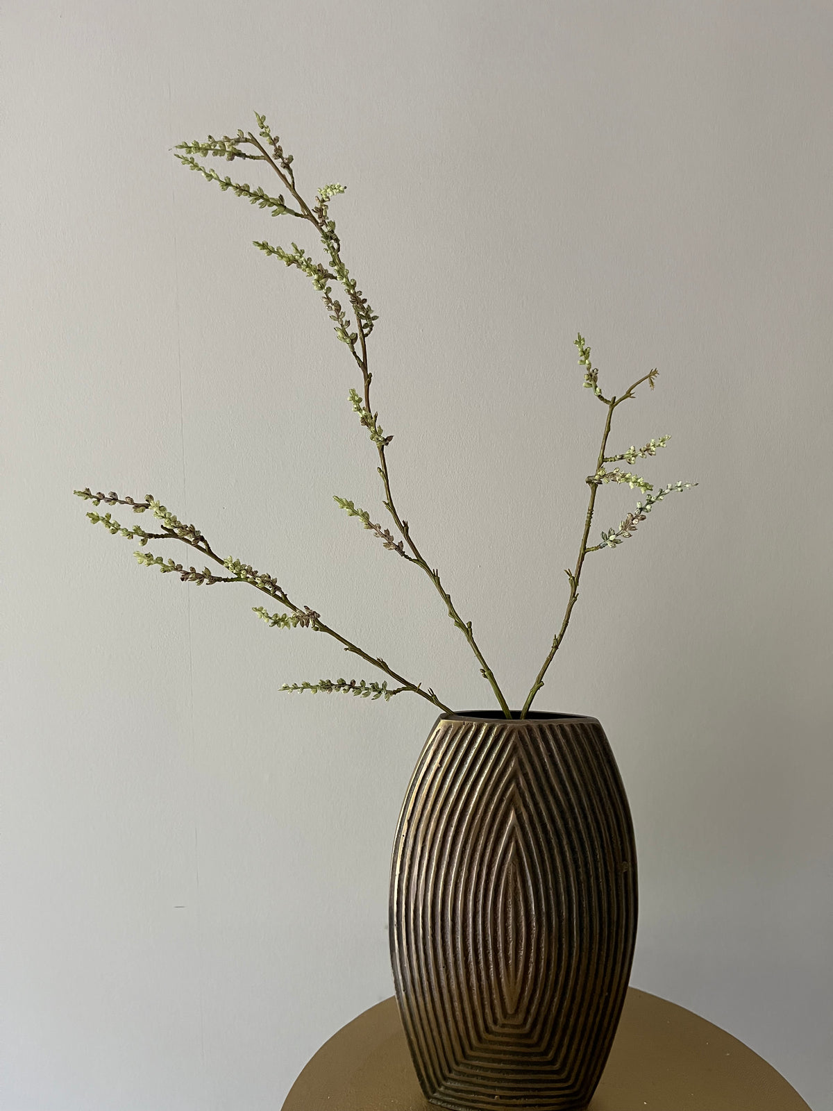 STACHYURUS SPRAY 106CM GREEN