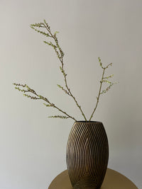 STACHYURUS SPRAY 106CM GREEN