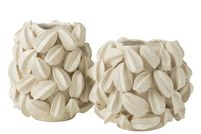 Vase Botanica Cocoa Pod Wide Clay Beige