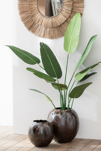 Strelitzia Plastic Green Small
