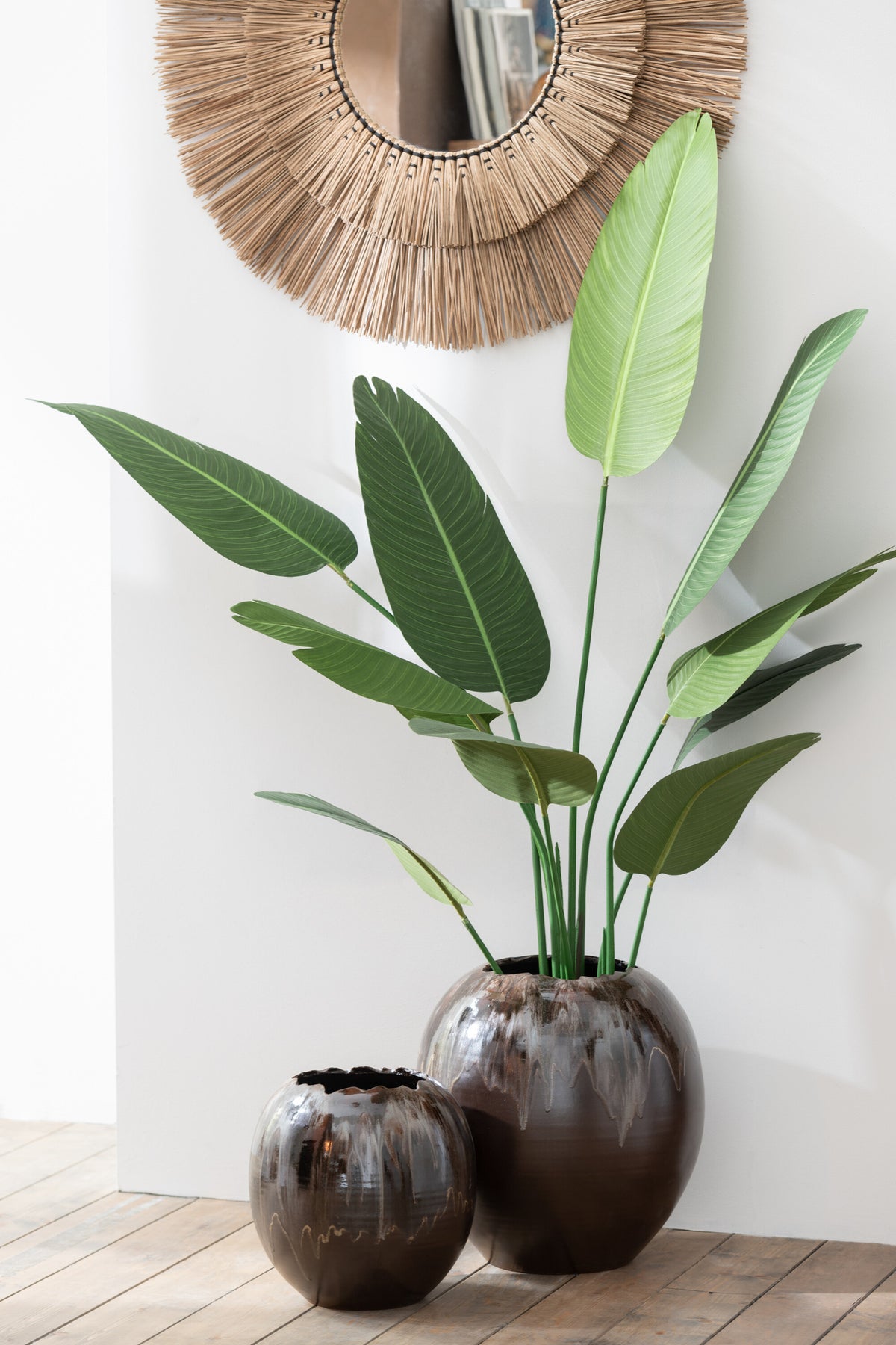 Strelitzia Plastic Green Small