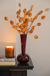 Vase Round Base Glass Burgundy