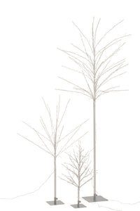 Bare Tree+Led Metal Silver Large