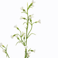 MINI NICOTIANA 75CM CREAM