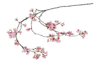 Bloem Prunus hangend Hi-2x12x125CM