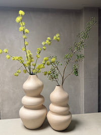 Vaas Evie S creme