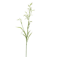 MINI NICOTIANA 75CM CREAM