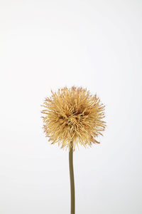 Dandelion Spray 89cm