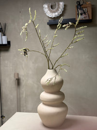 Vaas Evie L creme