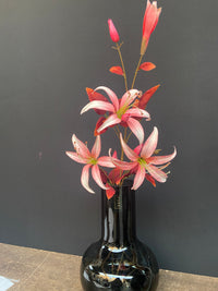 Slim Lily spray pink