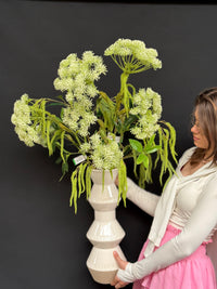 Amaranthus takken