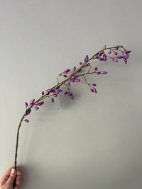 Rosehip purple