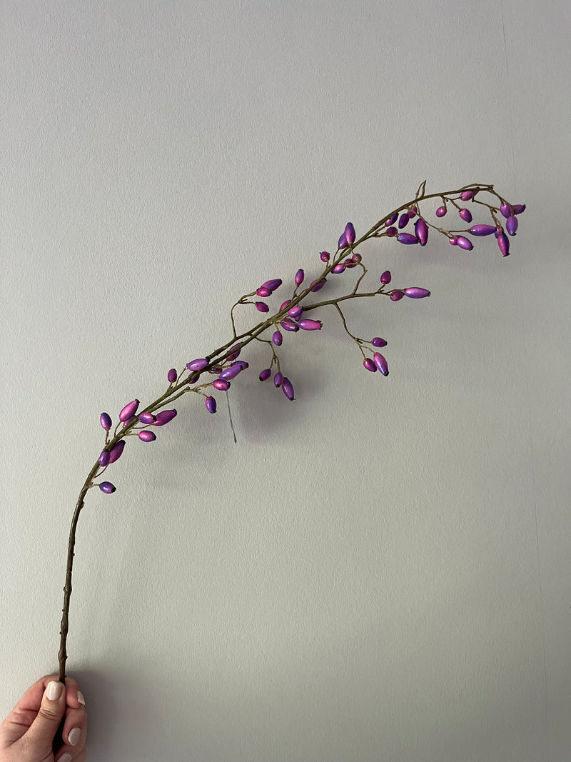 Rosehip purple