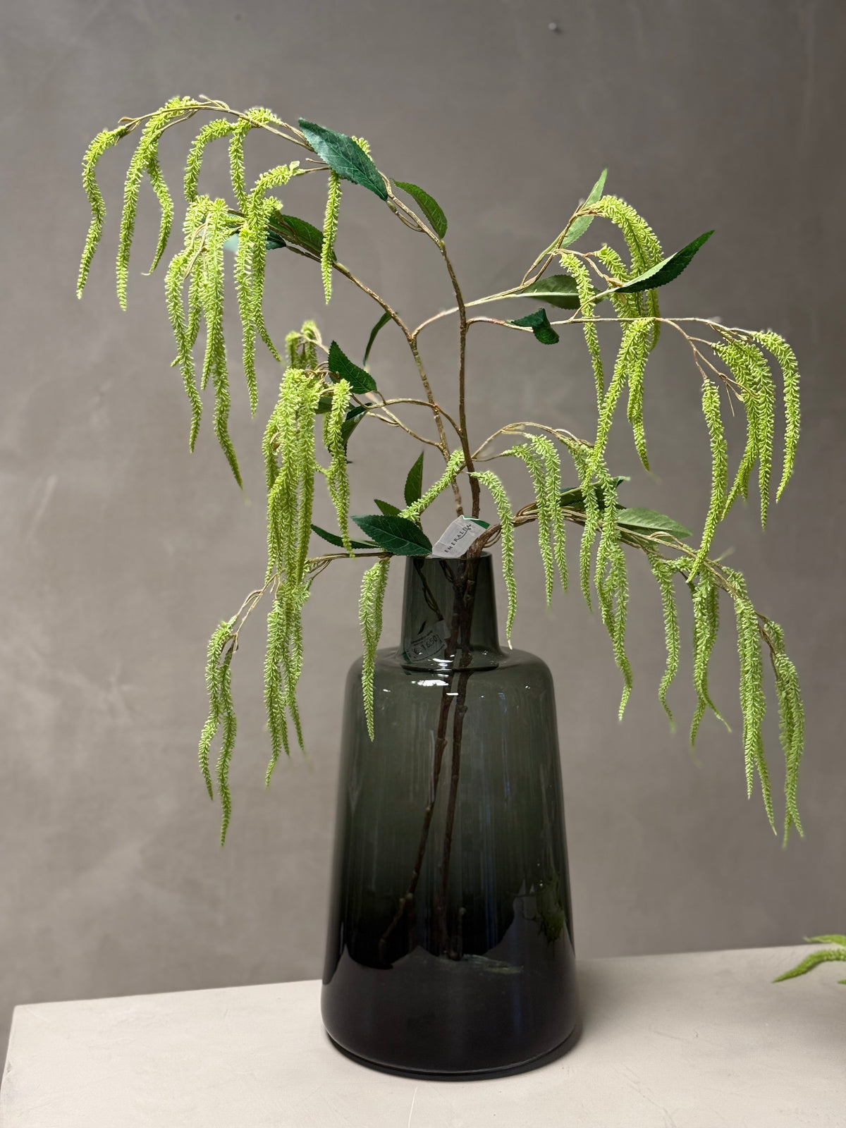 Amaranthus takken