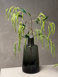 Amaranthus takken