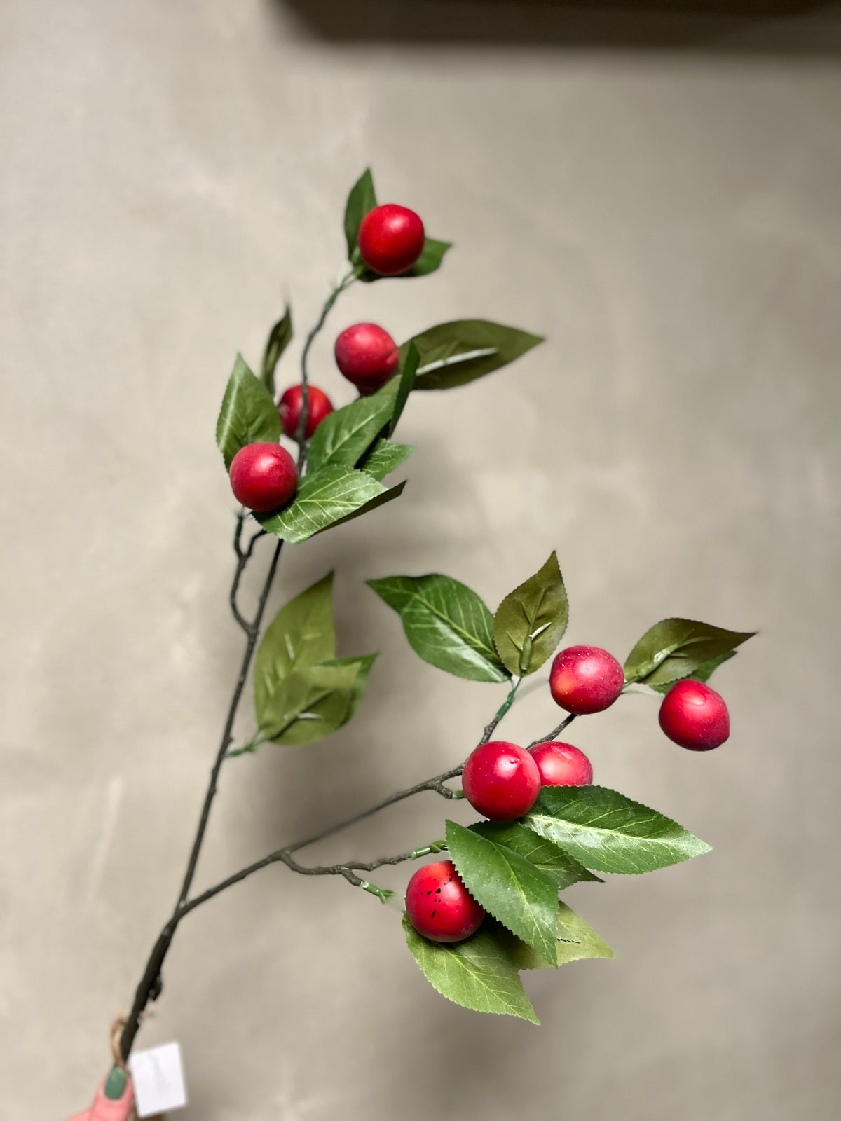 Plum Claude red
