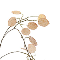 PRE -ORDER LARGE SILVER DOLLAR 110CM BEIGE