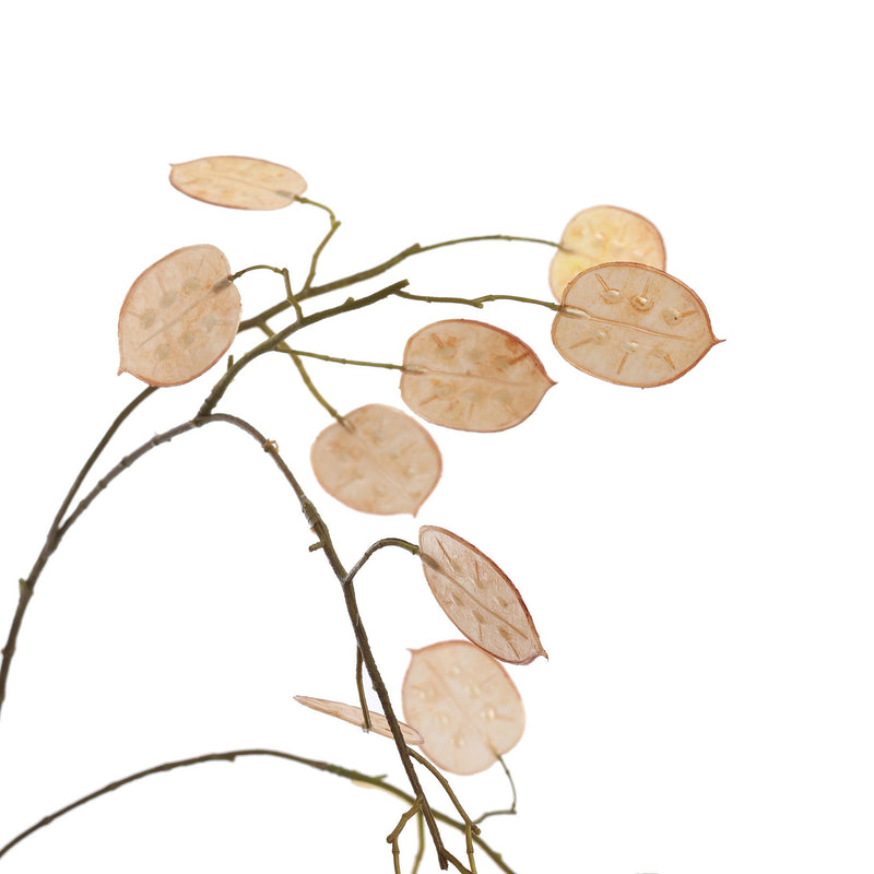 PRE -ORDER LARGE SILVER DOLLAR 110CM BEIGE