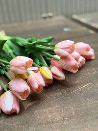 Tulpen roze lang