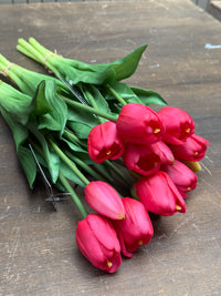 Tulpen pink lang
