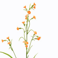 MINI NICOTIANA 75CM ORANGE