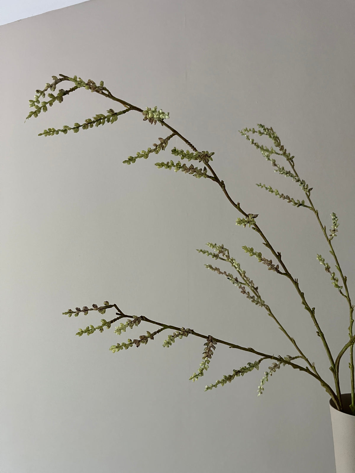 STACHYURUS SPRAY 106CM GREEN