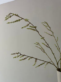 STACHYURUS SPRAY 106CM GREEN