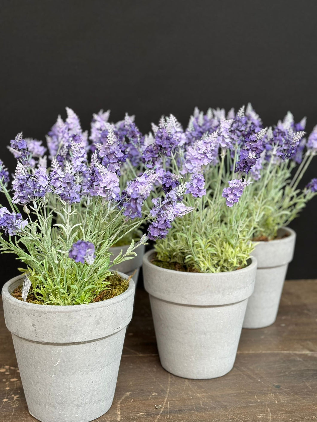 Pot inclusief zijden lavendelbloemen
