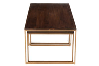 Coffee Table Rafi 3Parts Iron/Mango Wood Gold/Dark Brown