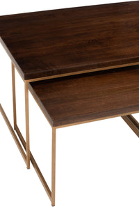 Coffee Table Rafi 3Parts Iron/Mango Wood Gold/Dark Brown