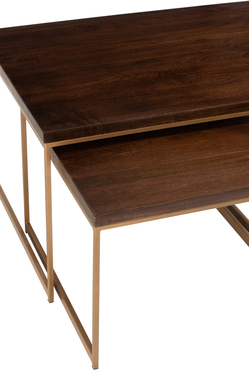 Coffee Table Rafi 3Parts Iron/Mango Wood Gold/Dark Brown